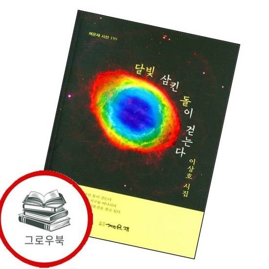 달빛 삼킨 돌이 걷는다(채운재 시선 159) 달빛삼킨돌이걷는다(채운재시선159) 추천도서