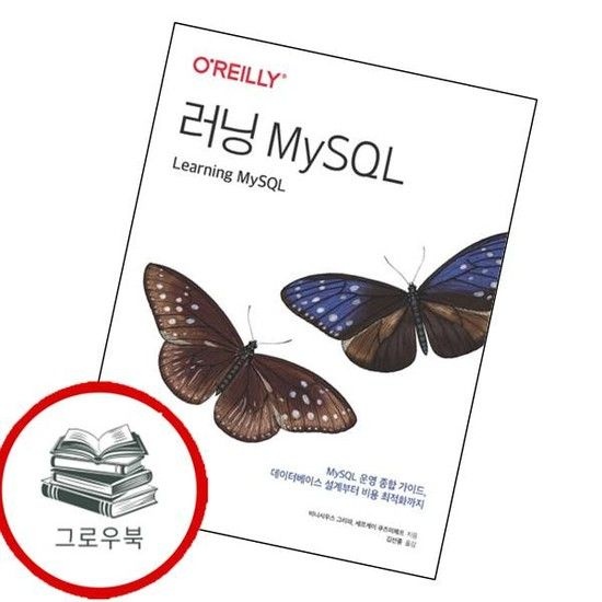 러닝 MySQL 러닝MySQL 추천도서