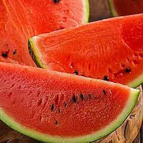 신선끝판왕 수박 5kg