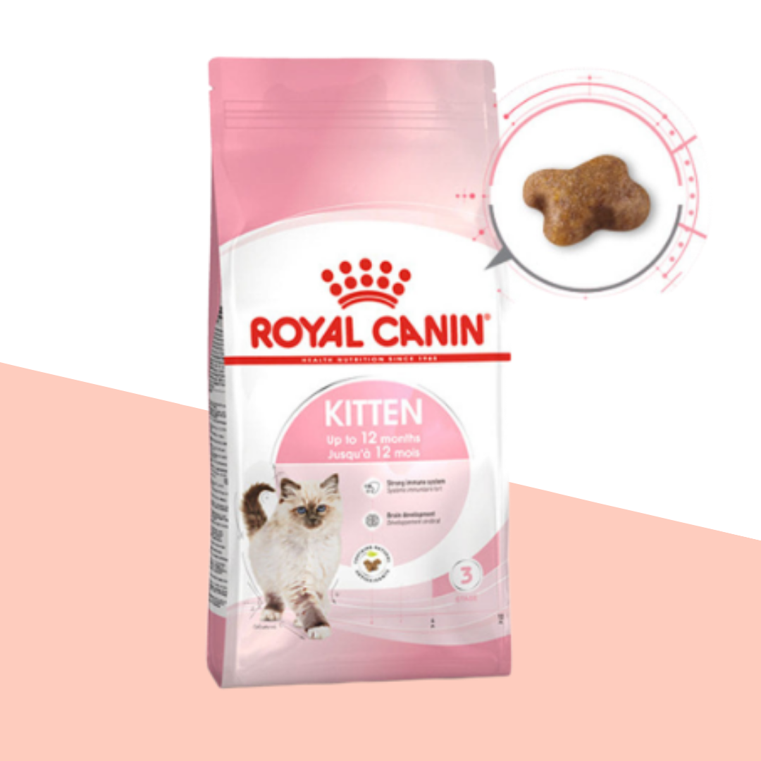 어린고양이 임신수유묘 맞춤사료 로얄캐닌 키튼1.2kg 고양이 사료