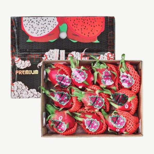 [다인푸른농장] 베트남 용과 총 5kg (9-10과)