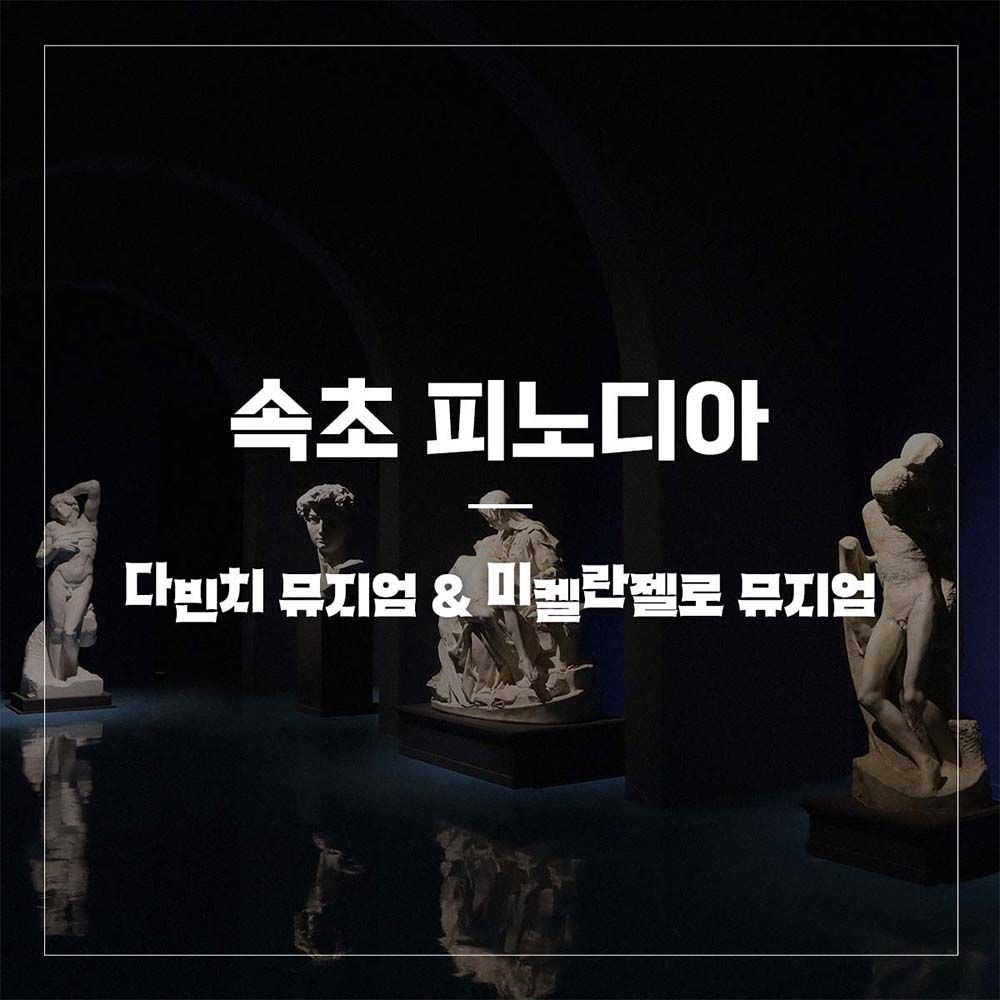 [여행가는달] 강원 피노디아 뮤지엄 입장권 프로모션, 이용기간 4월 1일~5월 29일이내 가능, 주중&주말 공통