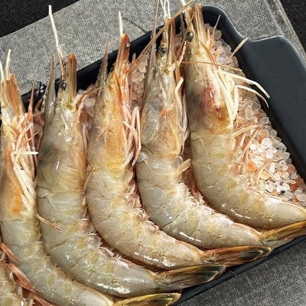 자연산 대하 새우 500g 10-15미 급냉 대하 새우 냉동 대하 새...