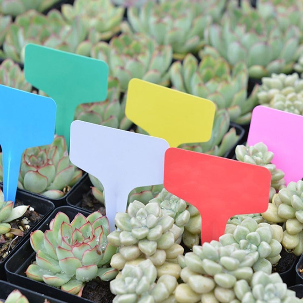 꽃 화분 화단 원예 식물 이름표 네임택 라벨 RD-10297