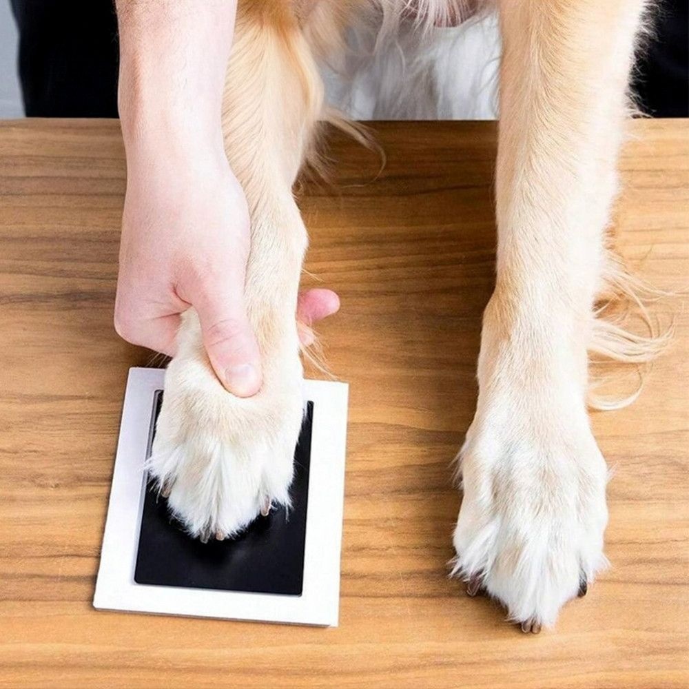 손발도장 만들기 반려동물 대형 DIY 키트 액자 포함
