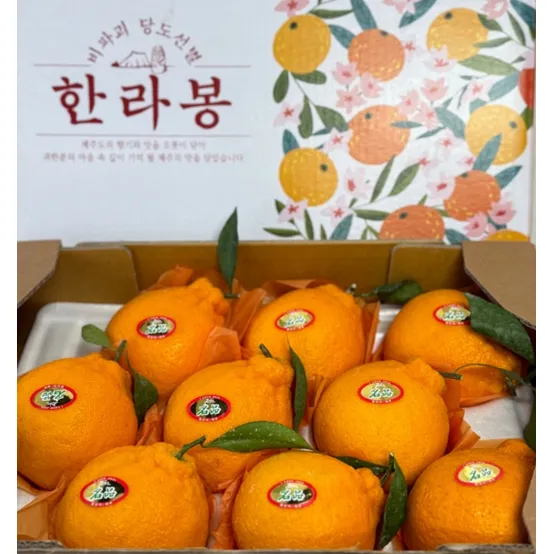 고당도 제주 한라봉