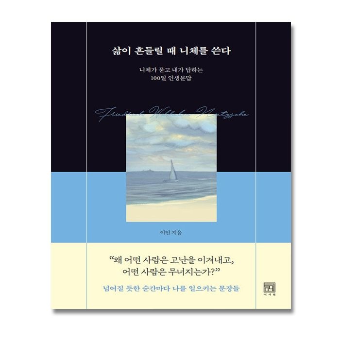 삶이 흔들릴 때 니체를 쓴다 책