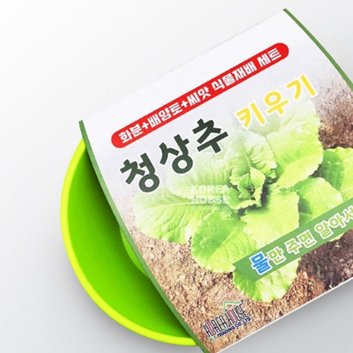 재배세트 청상추키우기/화분키우기,꽃심기,씨앗심기,재배세트