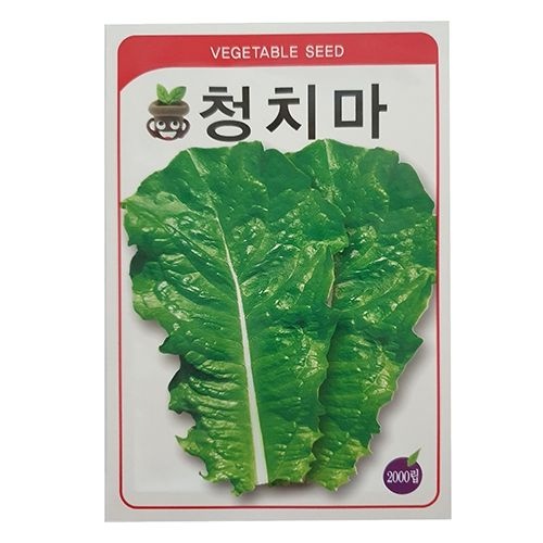 청상추 씨앗
