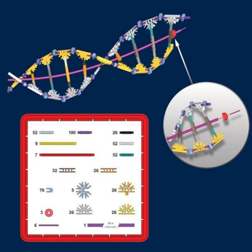 DNA Mrna 분자만들기 과학키트 조립 유전 화학 과학상자 초등