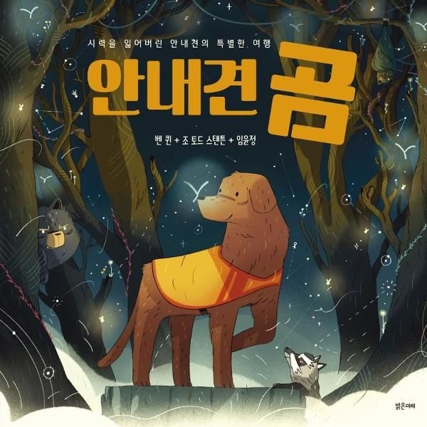 [보리보리] 안내견 곰 - 시력을 잃어버린 안내견의 특별한 여행 - 미래그래픽노블 7 (양장)