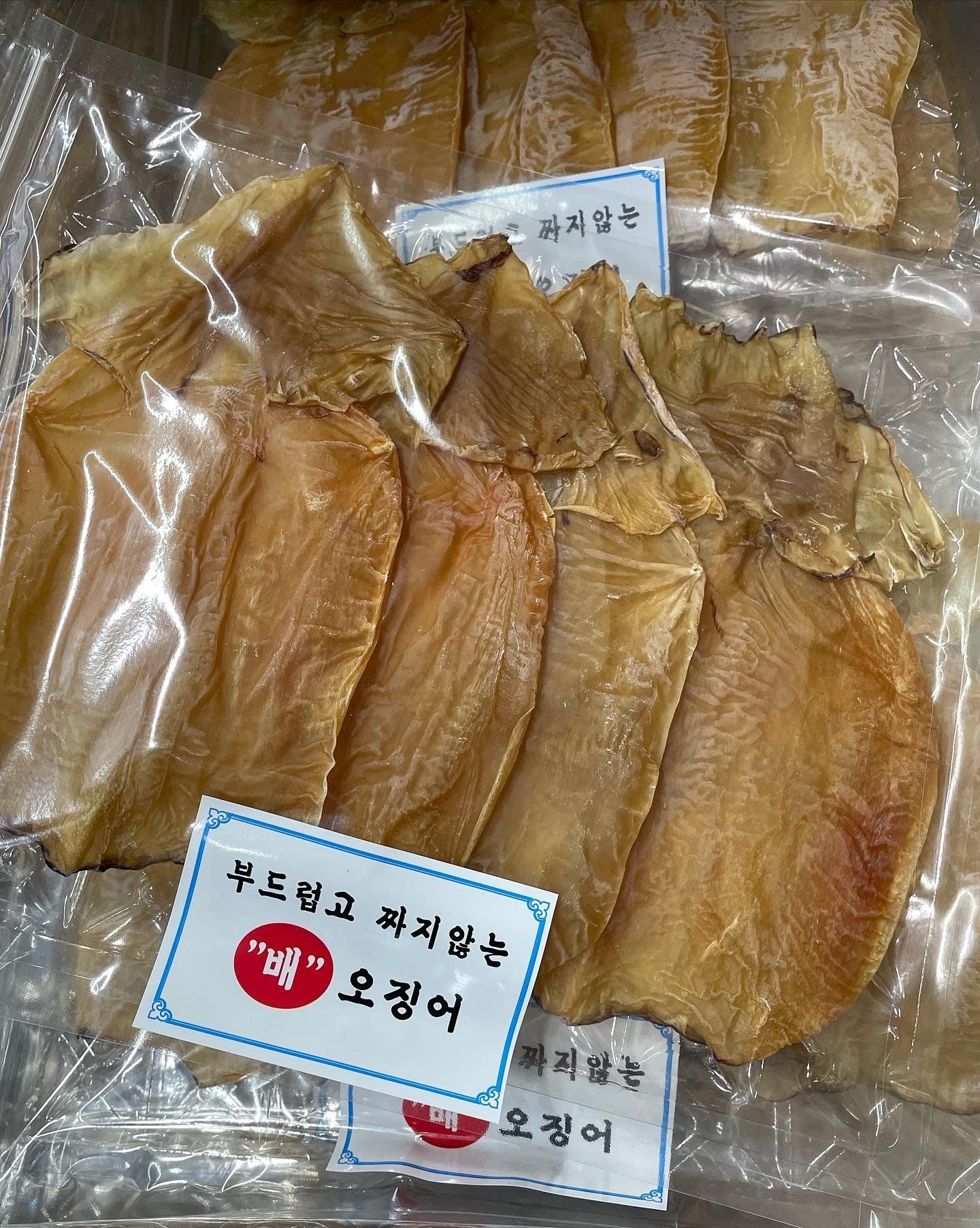 몸통오징어 마른오징어 건오징어 배오징어 3마리