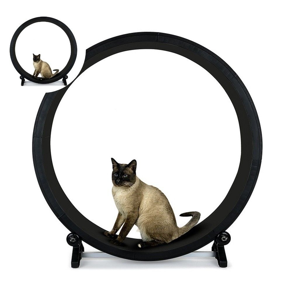 저소음 고양이 캣휠 블랙 도그휠 캣워커 고양이놀이기구