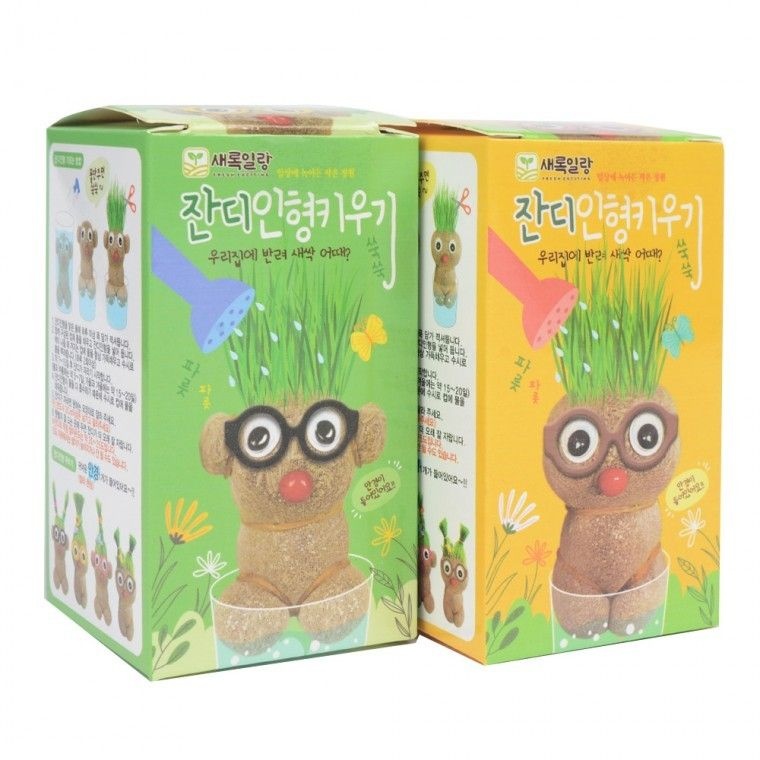 옆집샵 무배 신기한 잔디인형 토피어리 식물재배 어린이 교육용 아동 교구