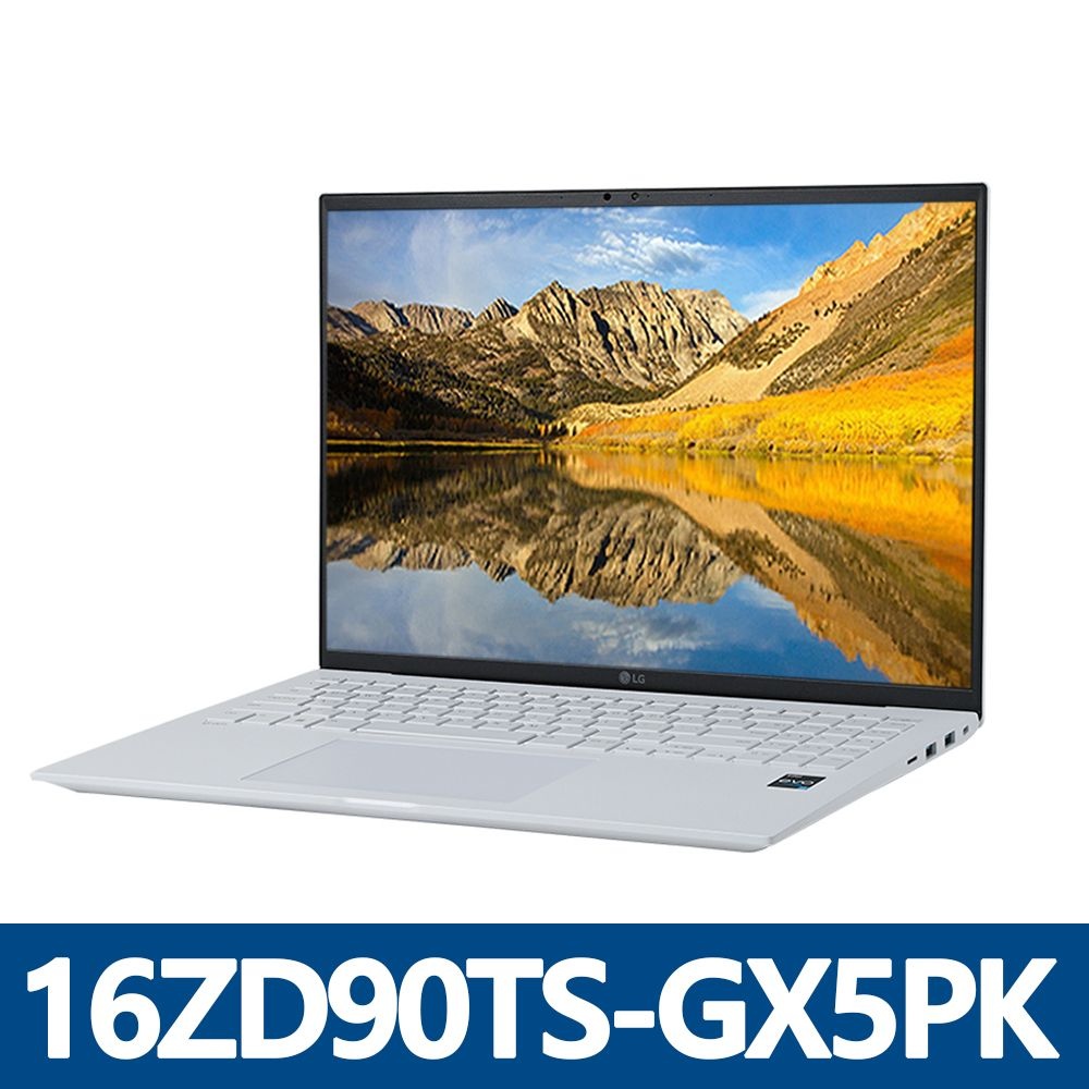 LG전자 그램 프로16 16ZD90TS-GX5PK SSD 512GB 교체장착