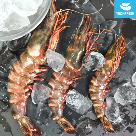 [15미] 블랙타이거새우 500g(냉동)