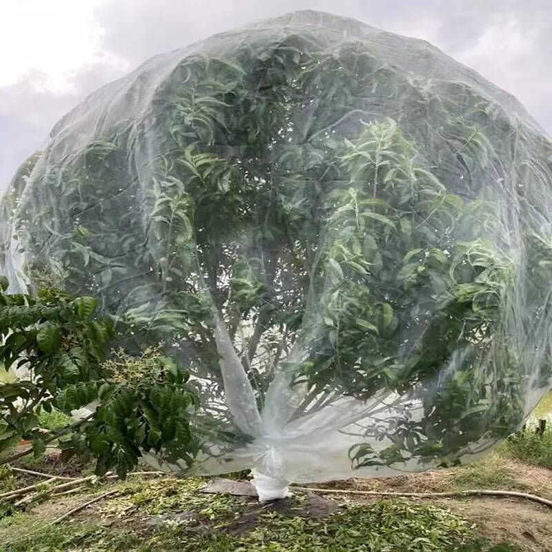 [해외] 오이망 고추망 너비 1~30m 60 메쉬 조류 식물 장벽 꽃 과일 스크린 대형 나무 그물 울트라 파인 정원 곤충