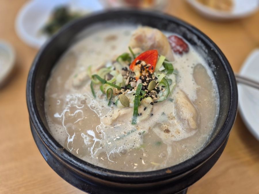 [당일/미식열차] 지금은 몸보신할때! 맛+영양+재미 다 잡는 풍기인삼보양&영주축제