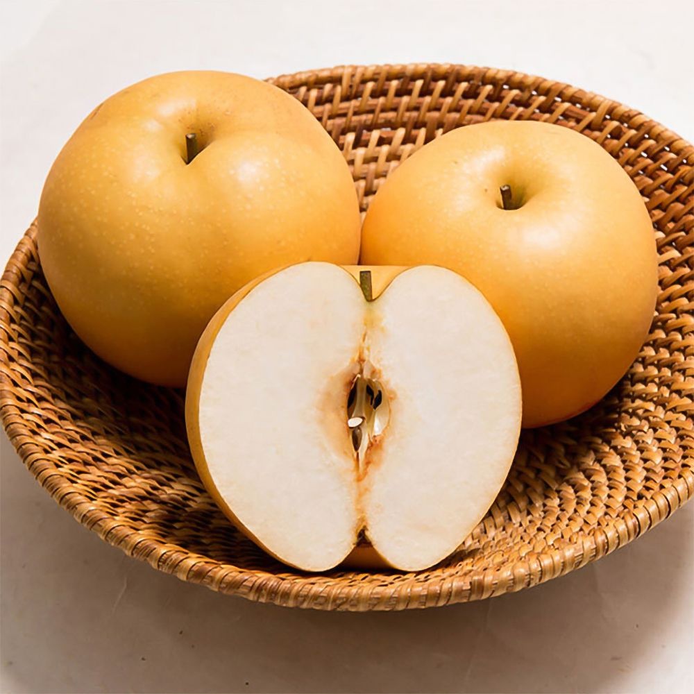 바이티존 협력사 달콤한 과즙이 가득한 배 천안 신고배 황금배