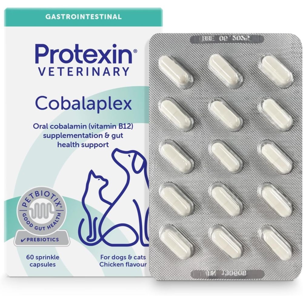 Protexin Veterinary Cobalaplex 프로텍신 코발라플렉스 60캡슐 반려견 반려묘 강아지 고양이
