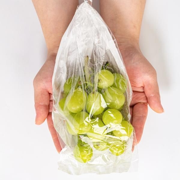 바로온 협력업체 사과식감 고당도 노지 샤인머스켓 2kg