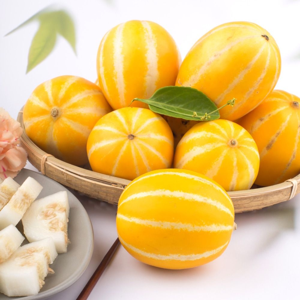 [고당도 가정용] 성주 참외 혼합과 랜덤과 1~10kg