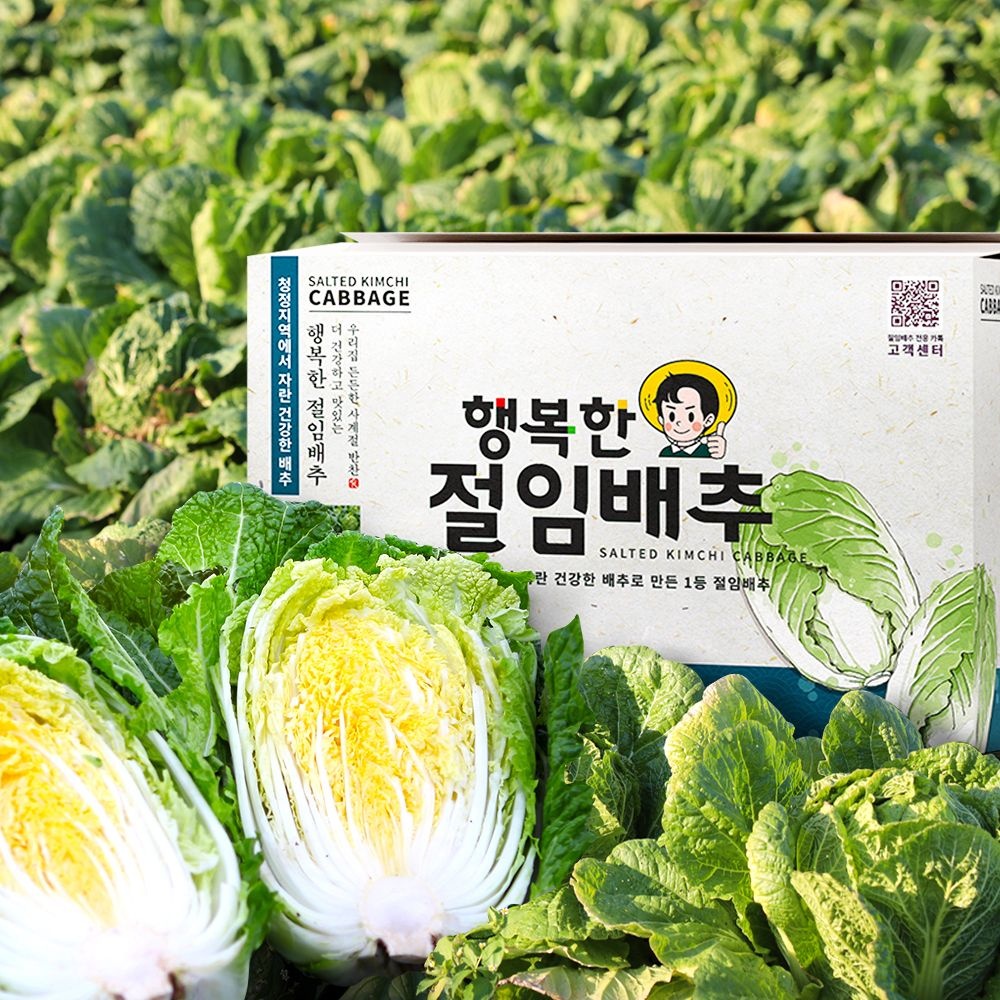 BAZAL 강원도 고랭지 절임배추 김장 절임배추 10kg 20kg