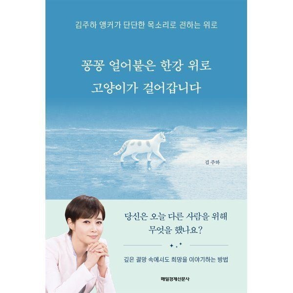 꽁꽁 얼어붙은 한강 위로 고양이가 걸어갑니다 : 김주하 앵커가 단 ...