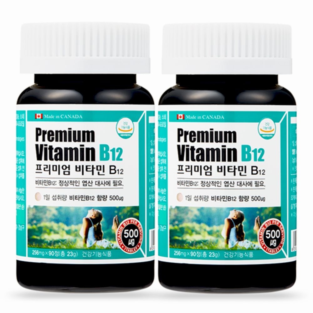 네추럴라이즈 프리미엄 비타민B12 256mg 90정 2병 6개월 비타민B 비타민b군 VITAMINB 수용성 비타민