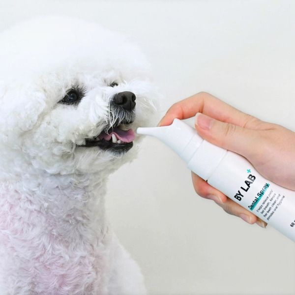 바이랩 덴탈 스프레이 강아지 구강 입냄새 치석 제거 뿌리는 치약 치아관리 60ml 1개