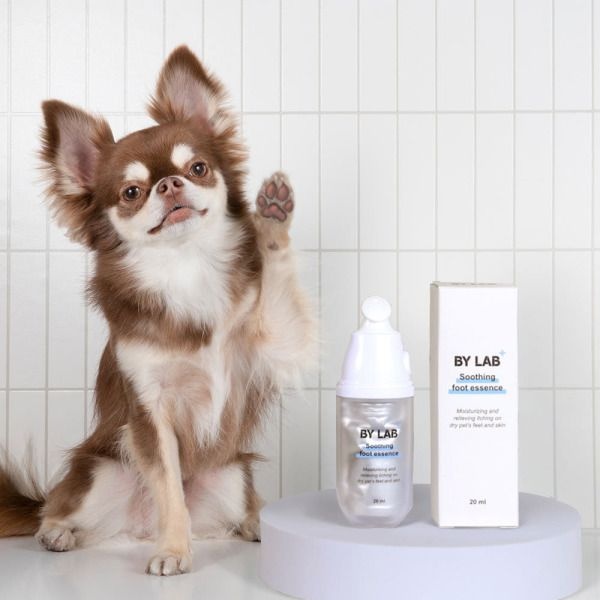 바이랩 강아지 발바닥 보습제 발사탕 발 건조 크림 수딩 풋 에센스 20ml 1개