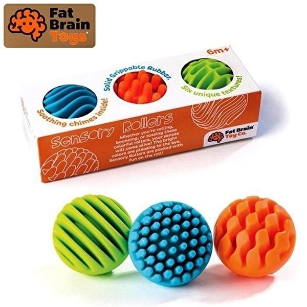 [셀러허브 1]펫브레인토이 펫브레인토이 센소리룰러 (FA161-1) (47363529)