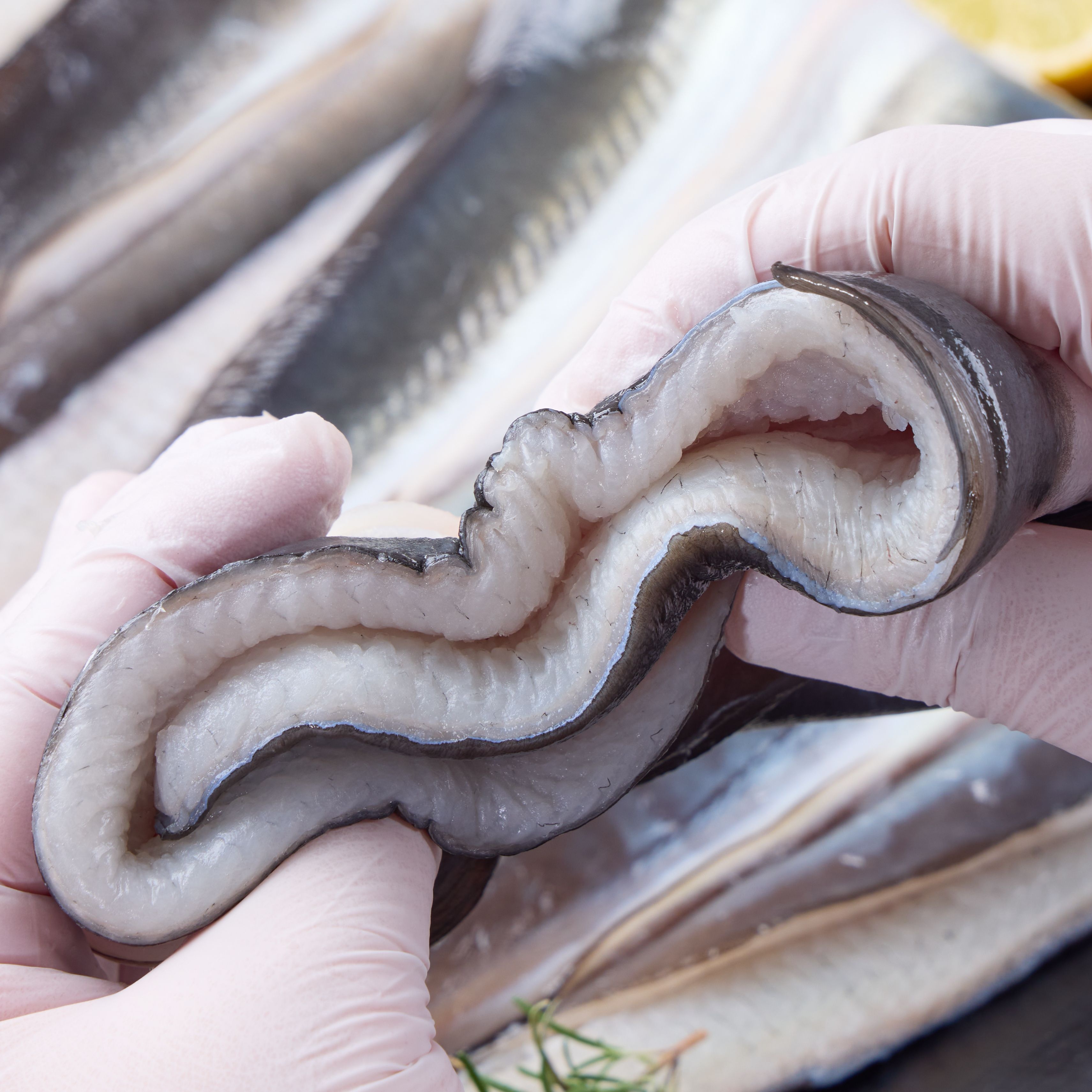 국산 자포니카 민물장어 1kg 보양식 (약 2마리 손질 후 700g)