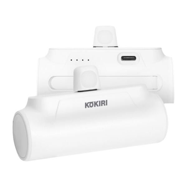 (현대Hmall) 아트박스/디자인에버 코끼리 도킹형 일체형 보조배터리 C타입 5000mAh