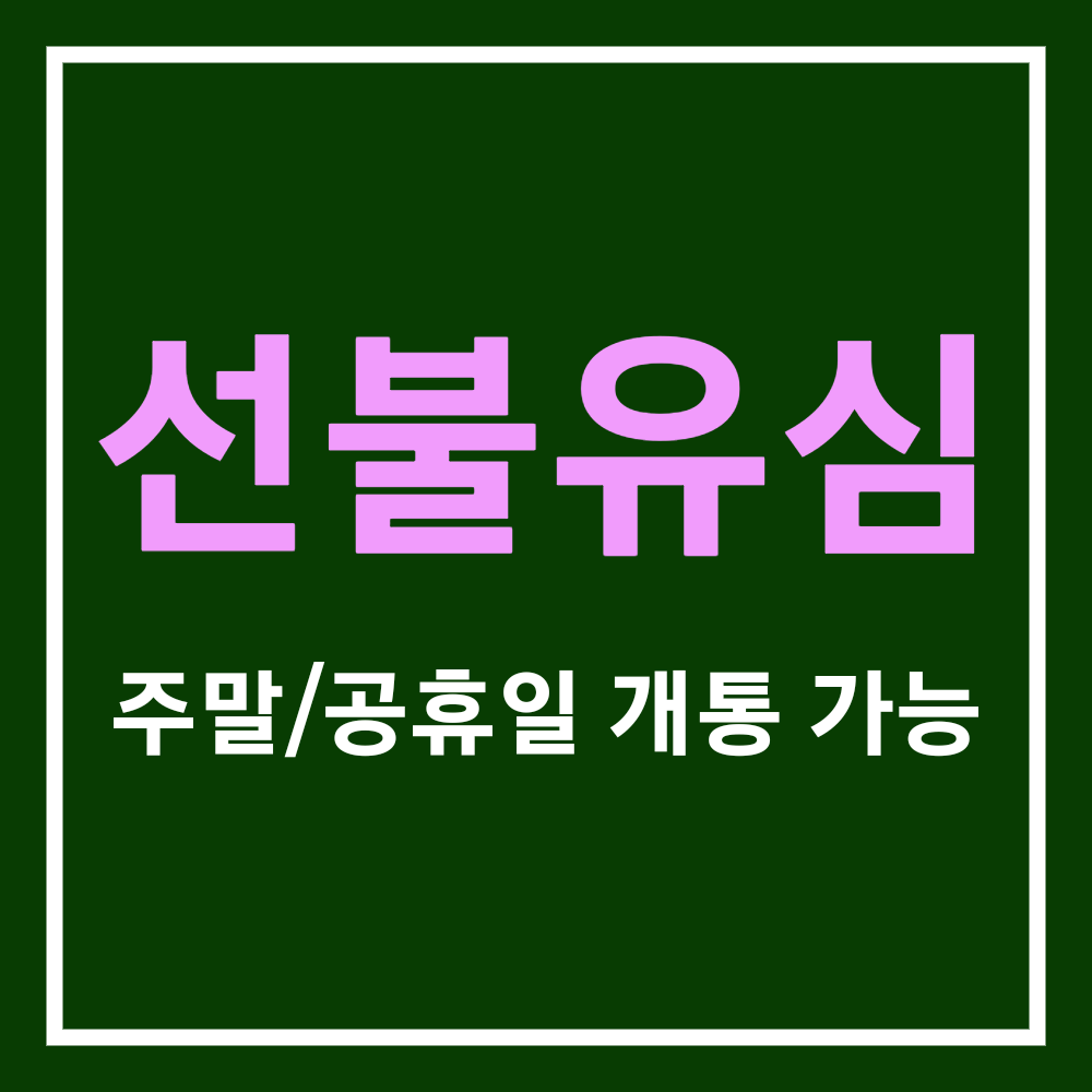 편의점 선불유심 개통