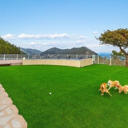 여수 스테이멍애견스파펜션