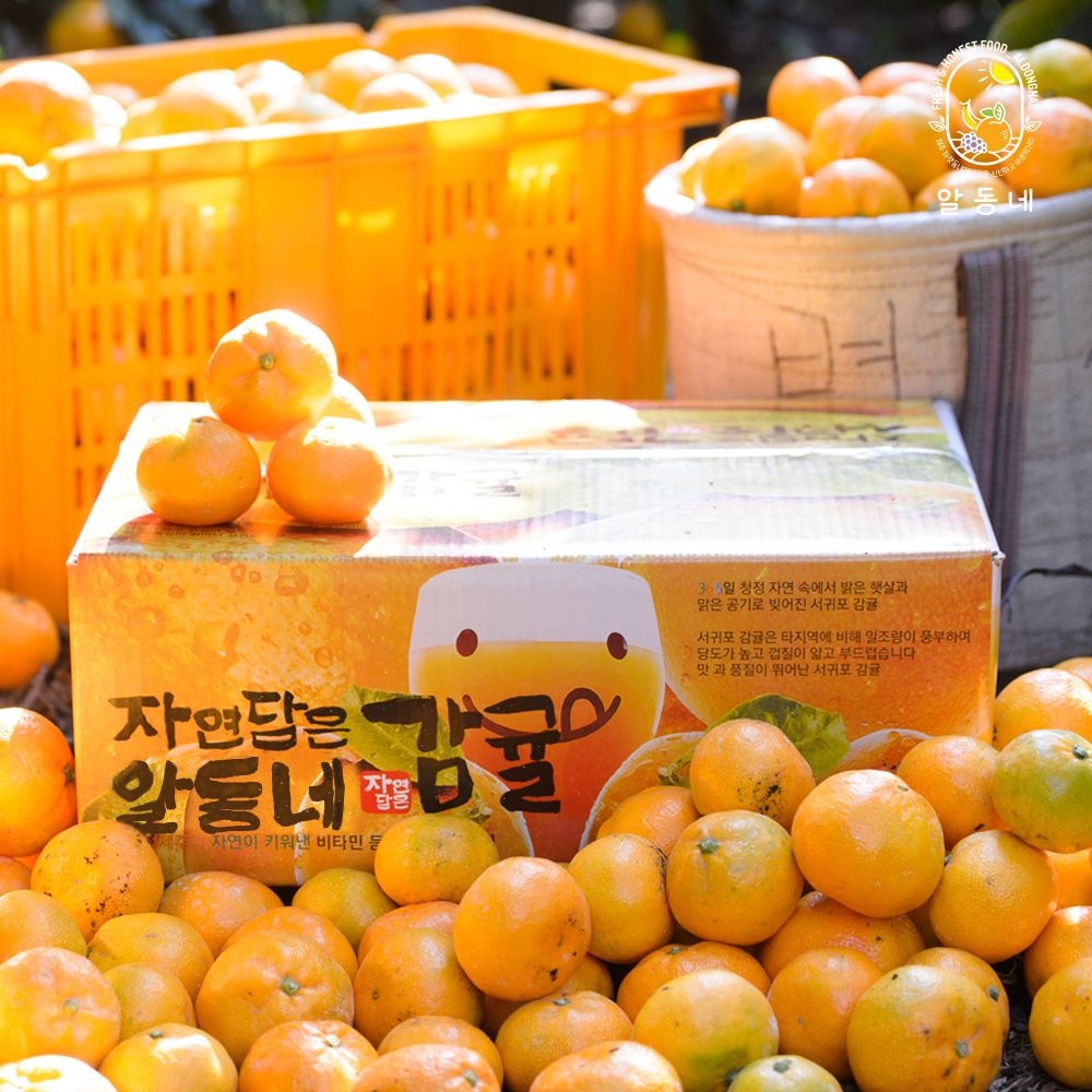 [롯데온] 제주 봄 감귤 카라향 2kg 중과 귤 (13,930원/무료)