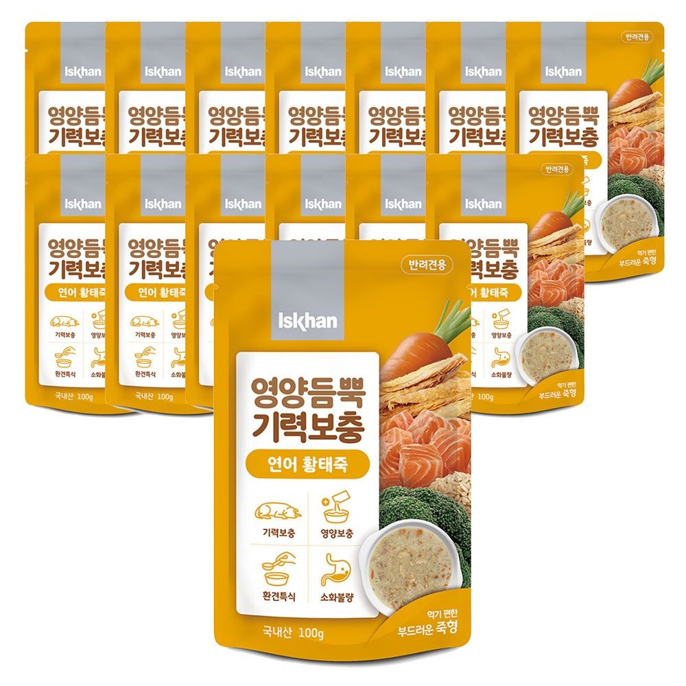 이즈칸 독 영양듬뿍 기력보충 연어황태죽 100g 12개세트