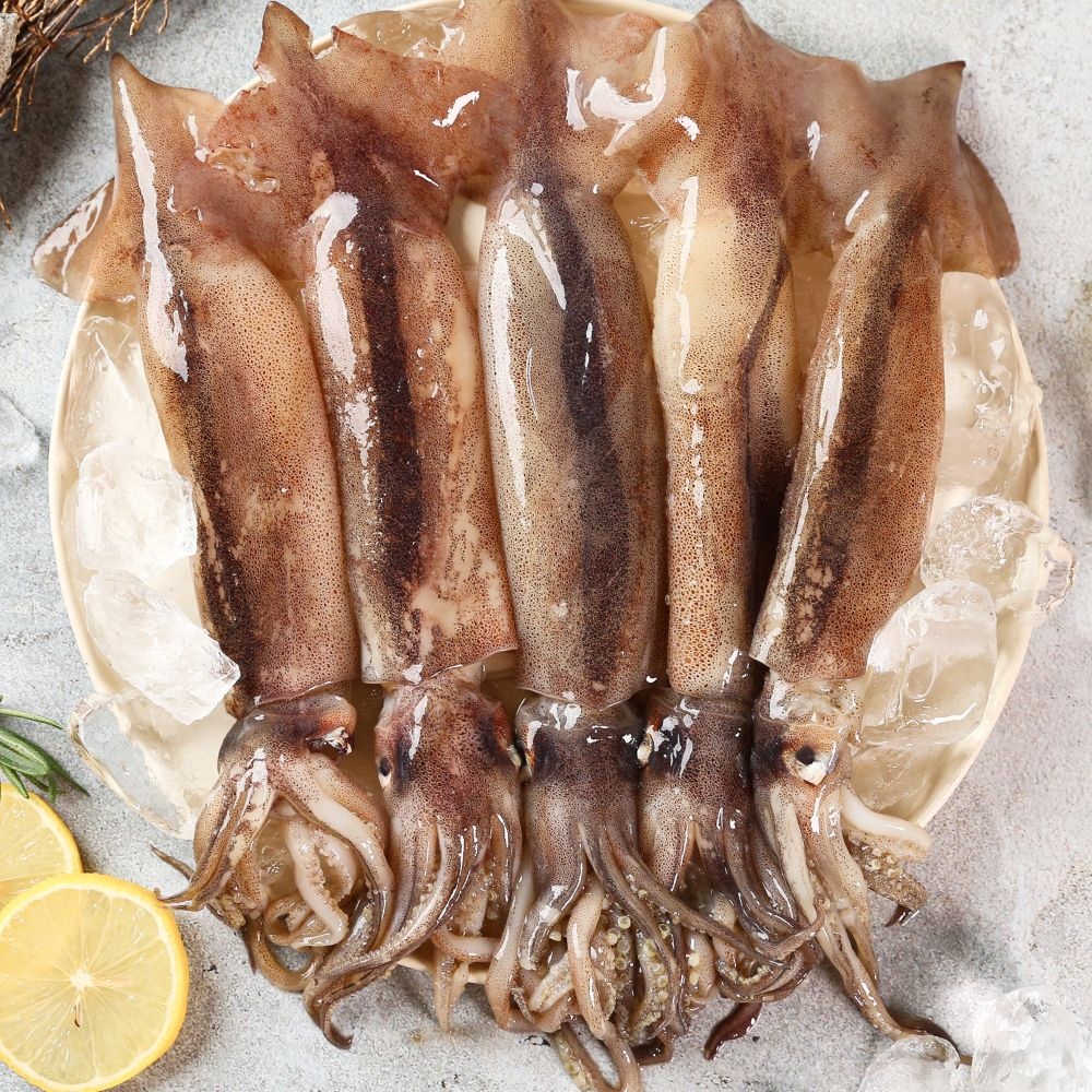 [맛꾼푸드]자연산 손질 통오징어 사이즈별 골라담기 총 10미 (220g~400g)/ 팩당 2미 : 롯데ON
