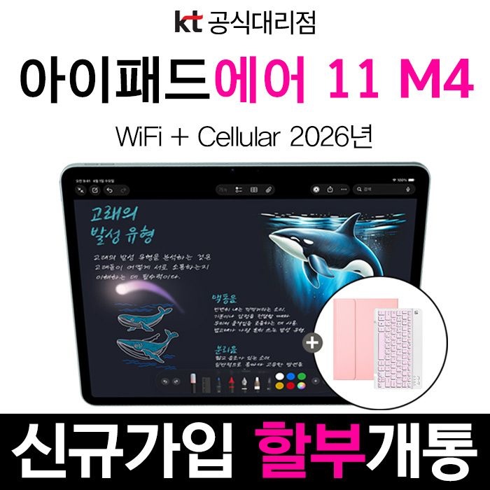 Apple 법인개통 Apple 아이패드 에어 11 M4 256GB 통신사 할부 kt 신규가입