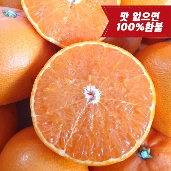 UnKnown [맛없음환불] 산지직송 초고당도 제주 천혜향