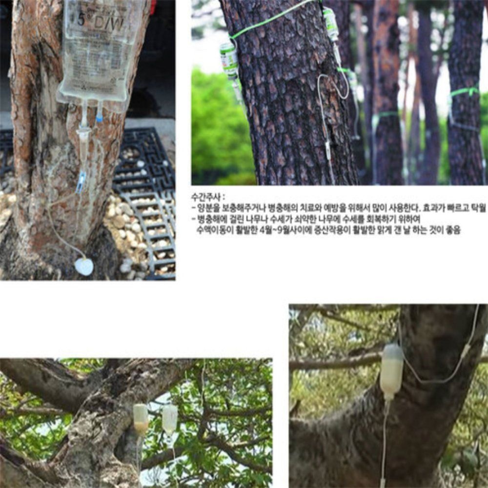 해들추천샵 링거식 키트 나무영양제 주입기 나무병충해 대나무수액 나무주사기