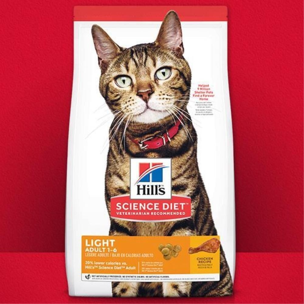 살찐 고양이 저칼로리 미국산 고급사료 잘먹는 캣맘 영양사료