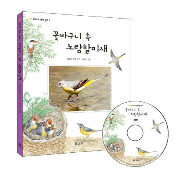 [보리보리]꽃바구니 속 노랑 할미새