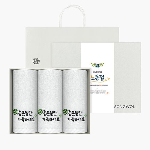 [롯데백화점] 송월타올 노동절 근로자의 날 기념선물 좋은일클로버 3p세트(쇼핑백) LE1221375751