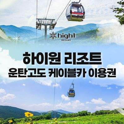 여성 베리 스트라이프 홀터 나시 탑