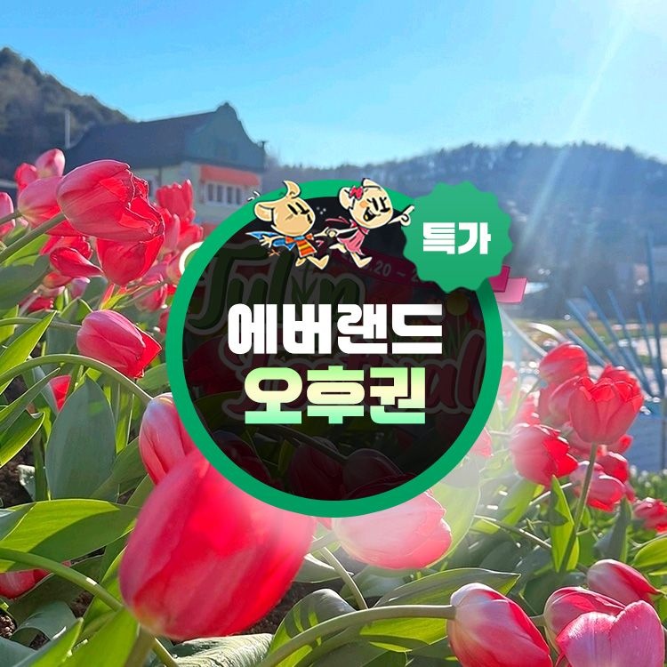 에버랜드 [슈퍼트립] 용인 에버랜드 오후이용권 특가 프로모션, 이용기간 최대 5월 31일까지, 주중&주말 공통혜택