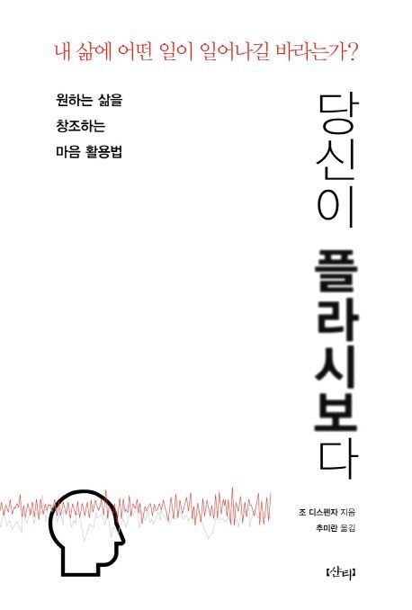 샨티 당신이 플라시보다