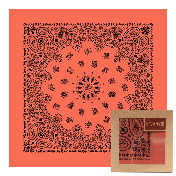 하바행크(HAV-A-HANK) [패션플러스][하바행크]하바행크 컨템포러리 페이슬리 [스토리베리]