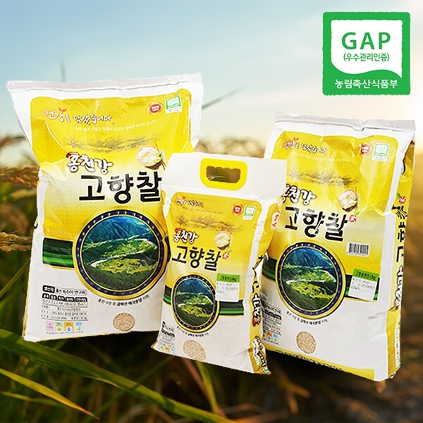 [웰굿][GAP인증] 밥맛좋은 강원도 홍천 고향찰 찹쌀 20kg